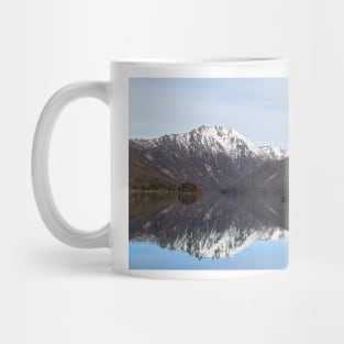 850_2881 Mug